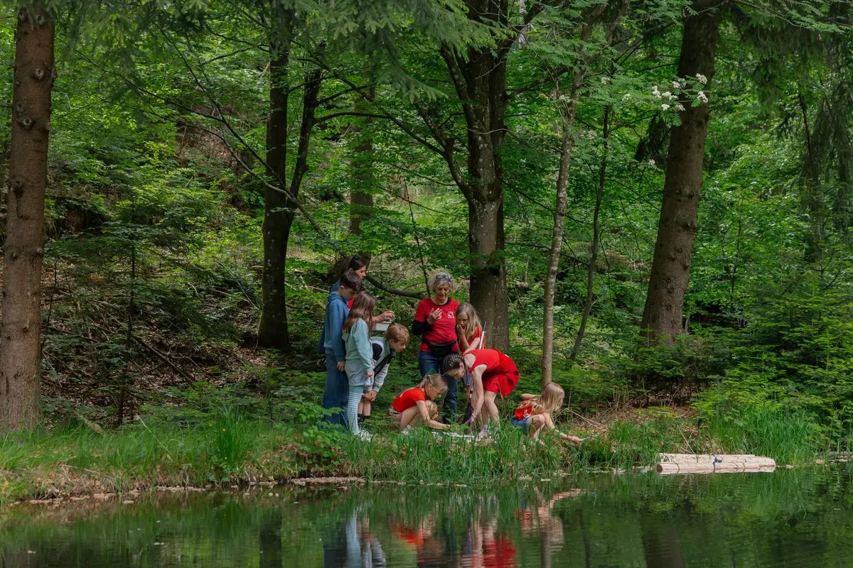 Kindergruppe im Wald 
