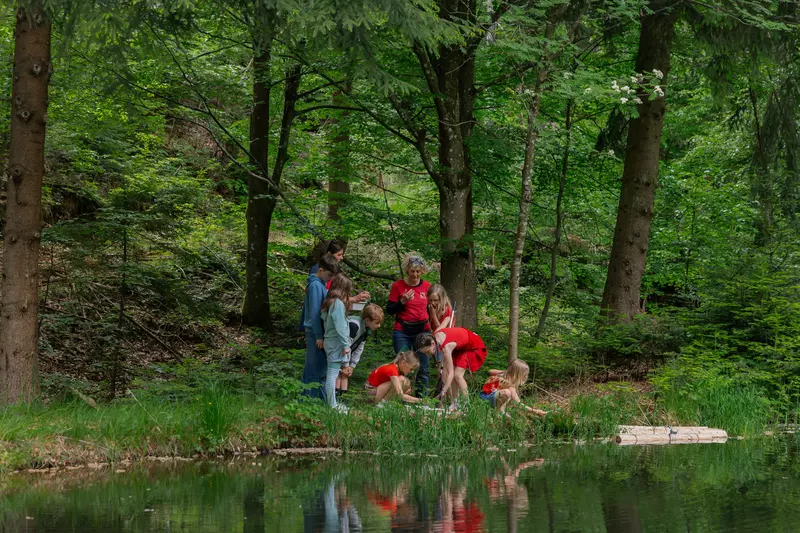 Kindergruppe im Wald 