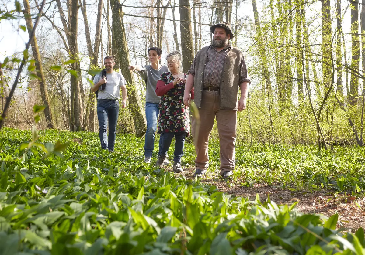 Gruppe wandert durch den Wald