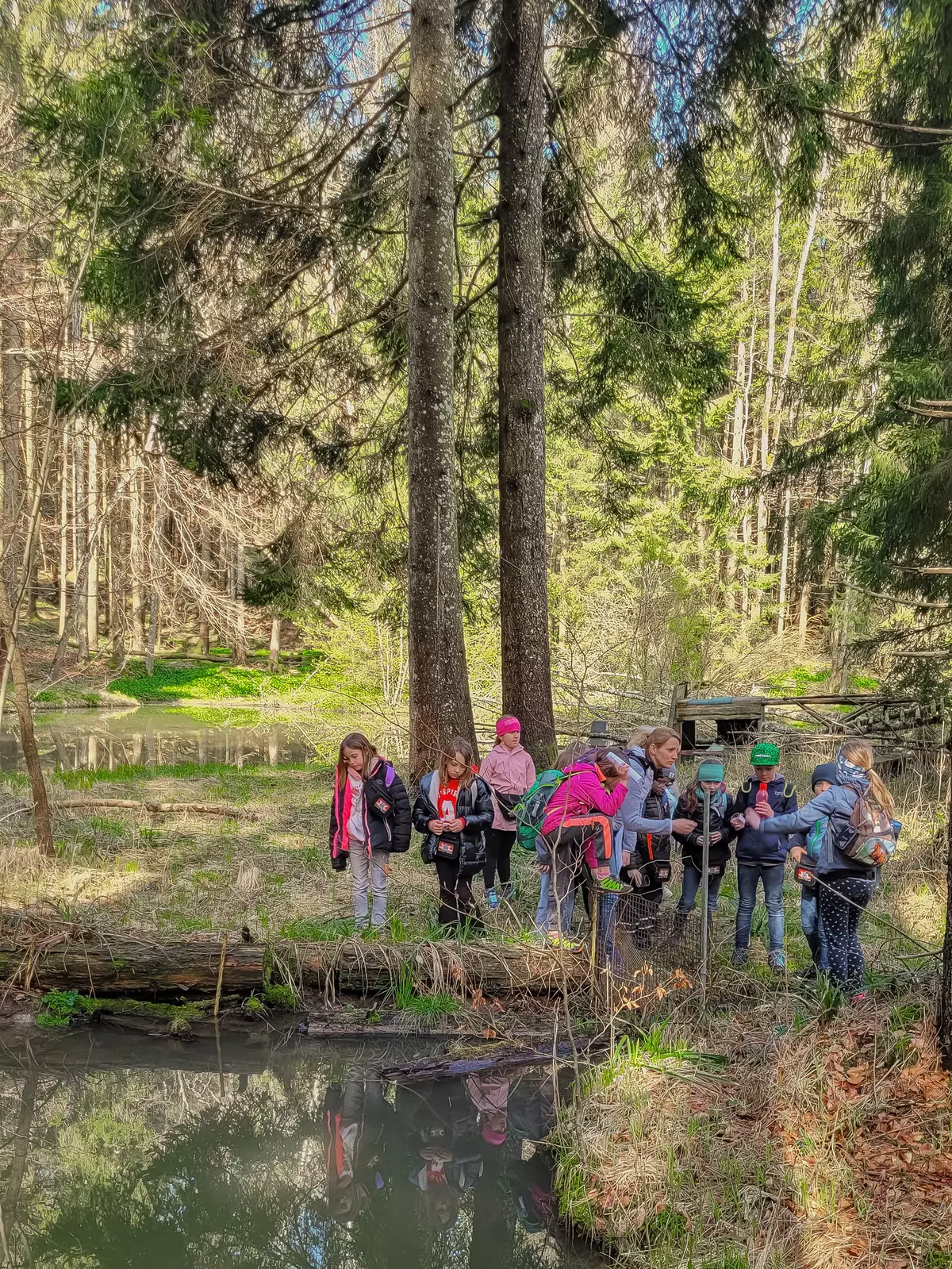 Guide mit einer Gruppe von Kindern bei einem Tümpel im Wald