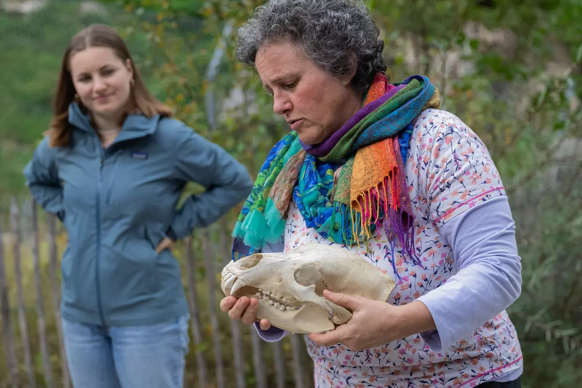 Guide erklärt am Skelett