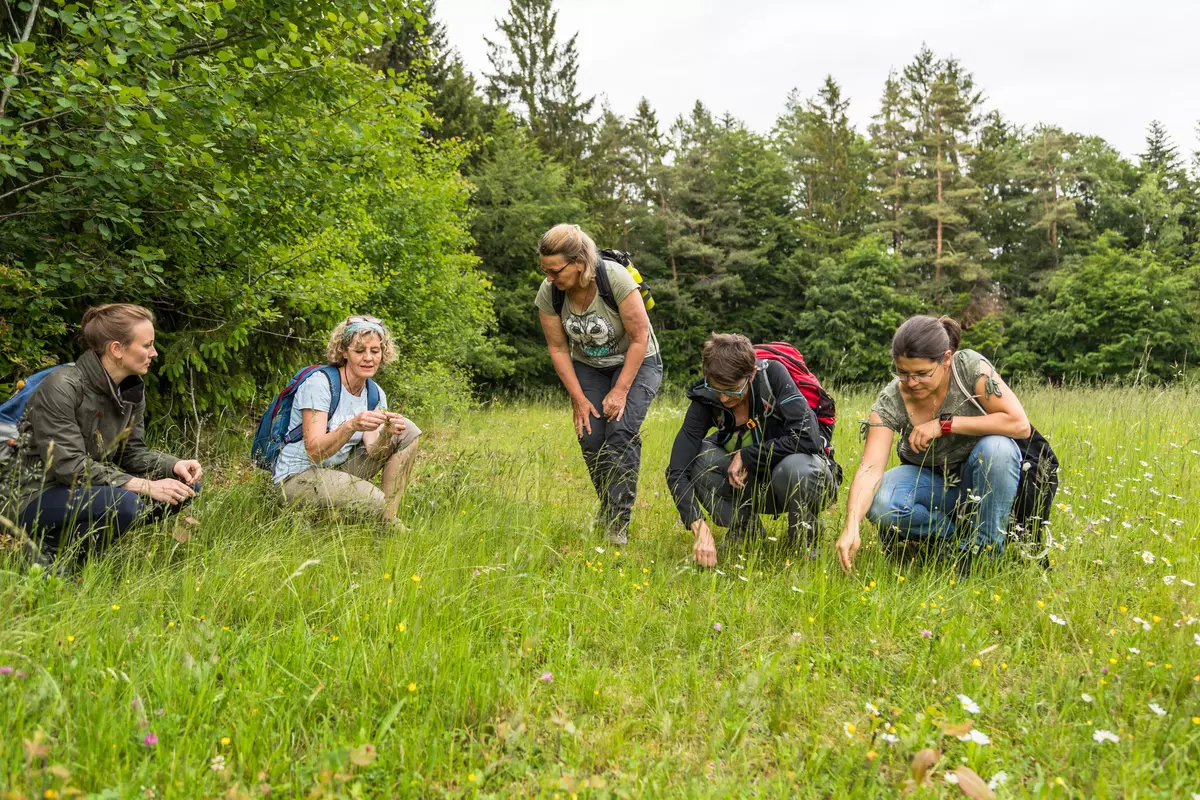 Frauengruppe hockend in Wiese mit weiblichem Guide