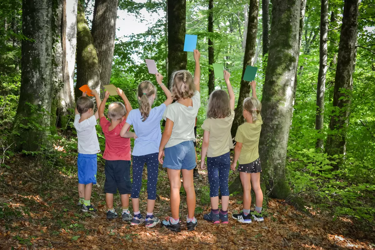 Kindergruppe im Wald