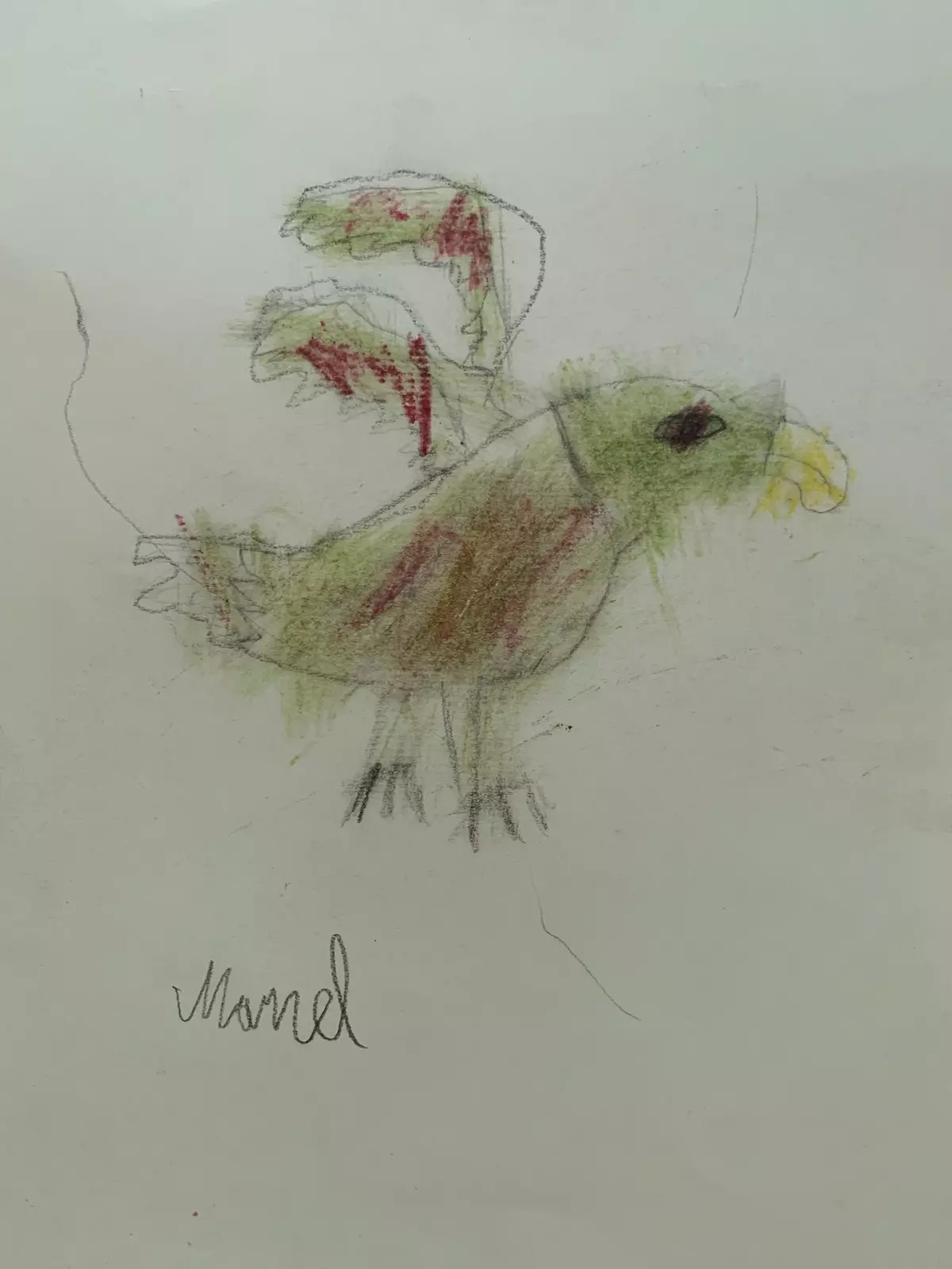 Zeichnung eines Vogels