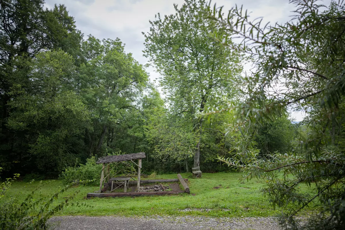 Holzstätte im Wald