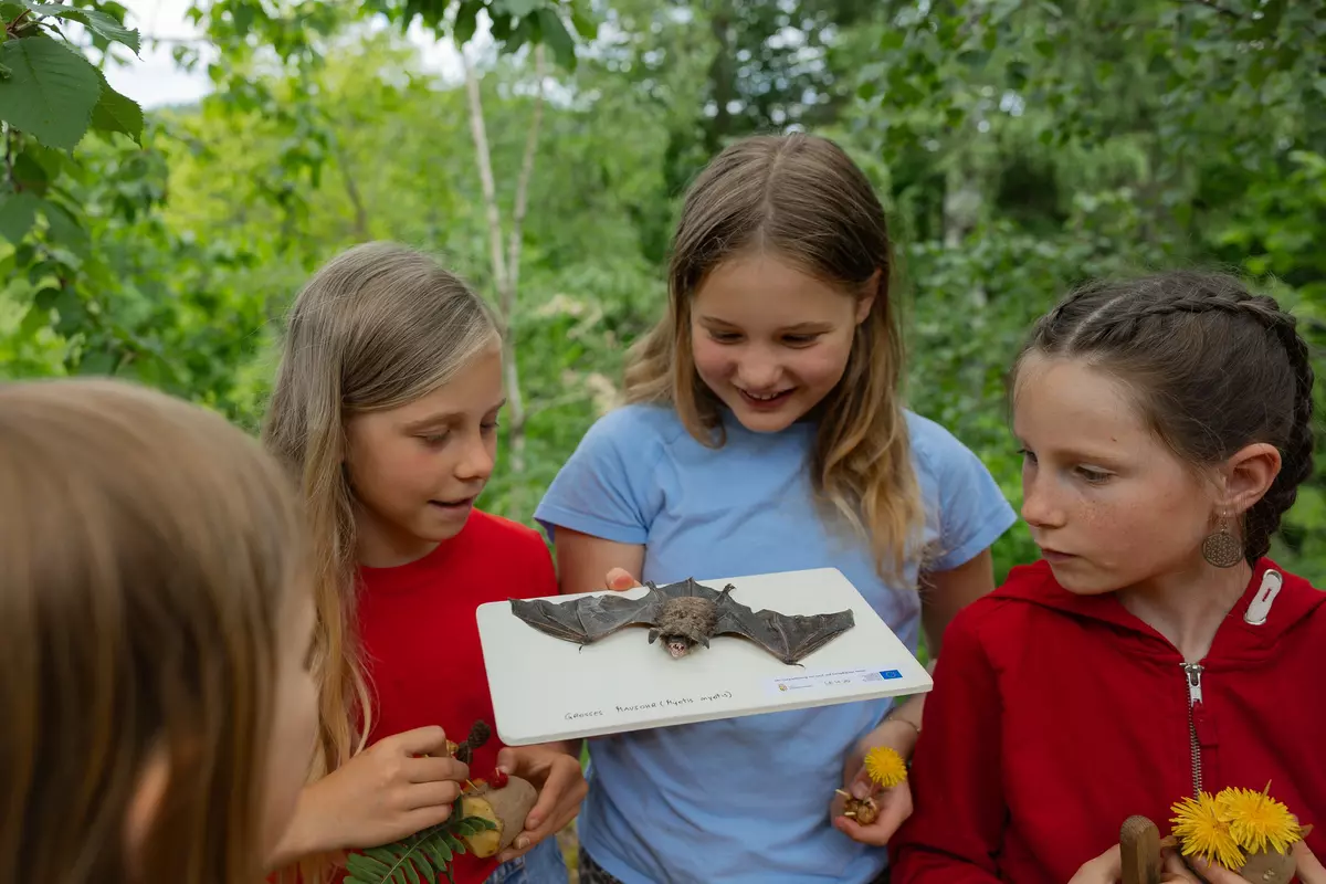 Kinder mit Fledermaus 