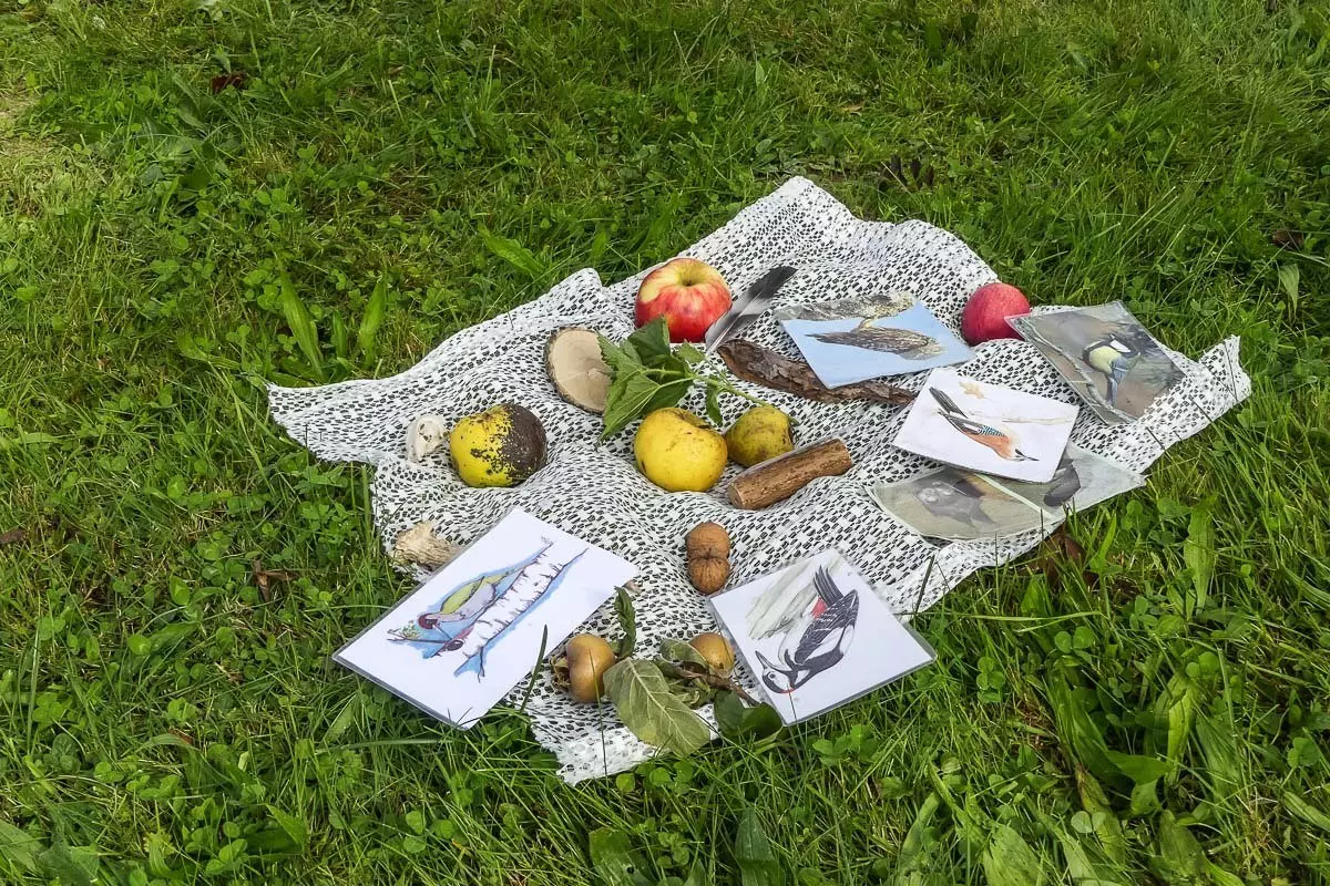 Unterschiedliches Streuobst auf einem Tuch in der Wiese