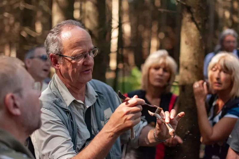 Guide putzt Pilze mit Personen rundherum