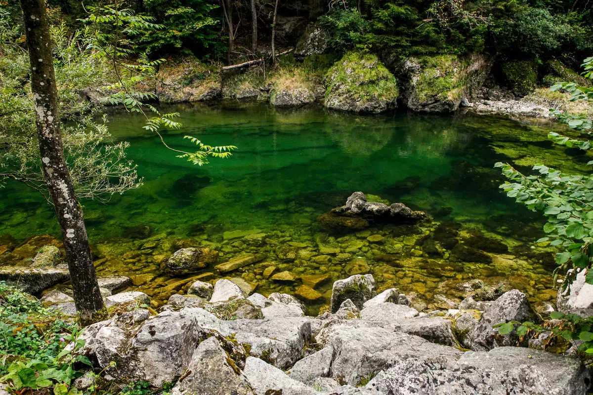 Tümpel mit klarem Wasser