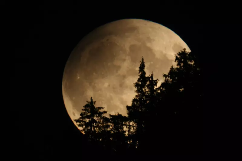 Mond in großer Aufnahme