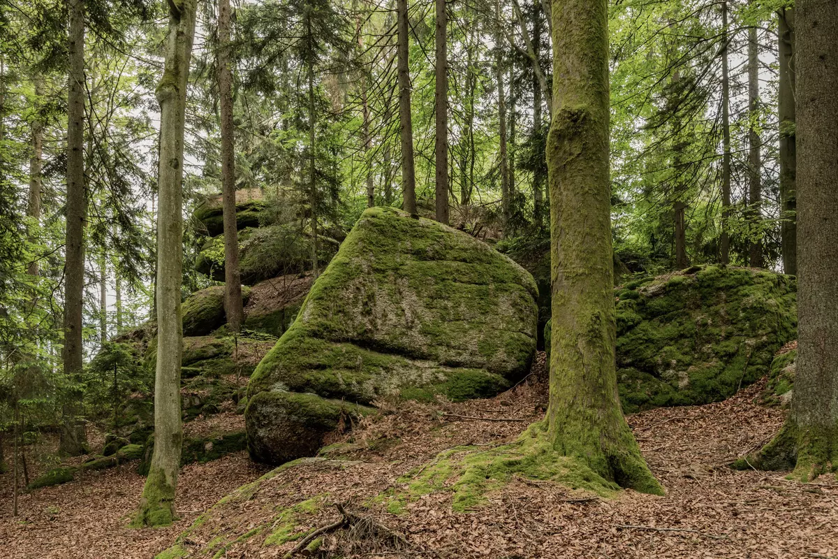 Über Stock und Stein