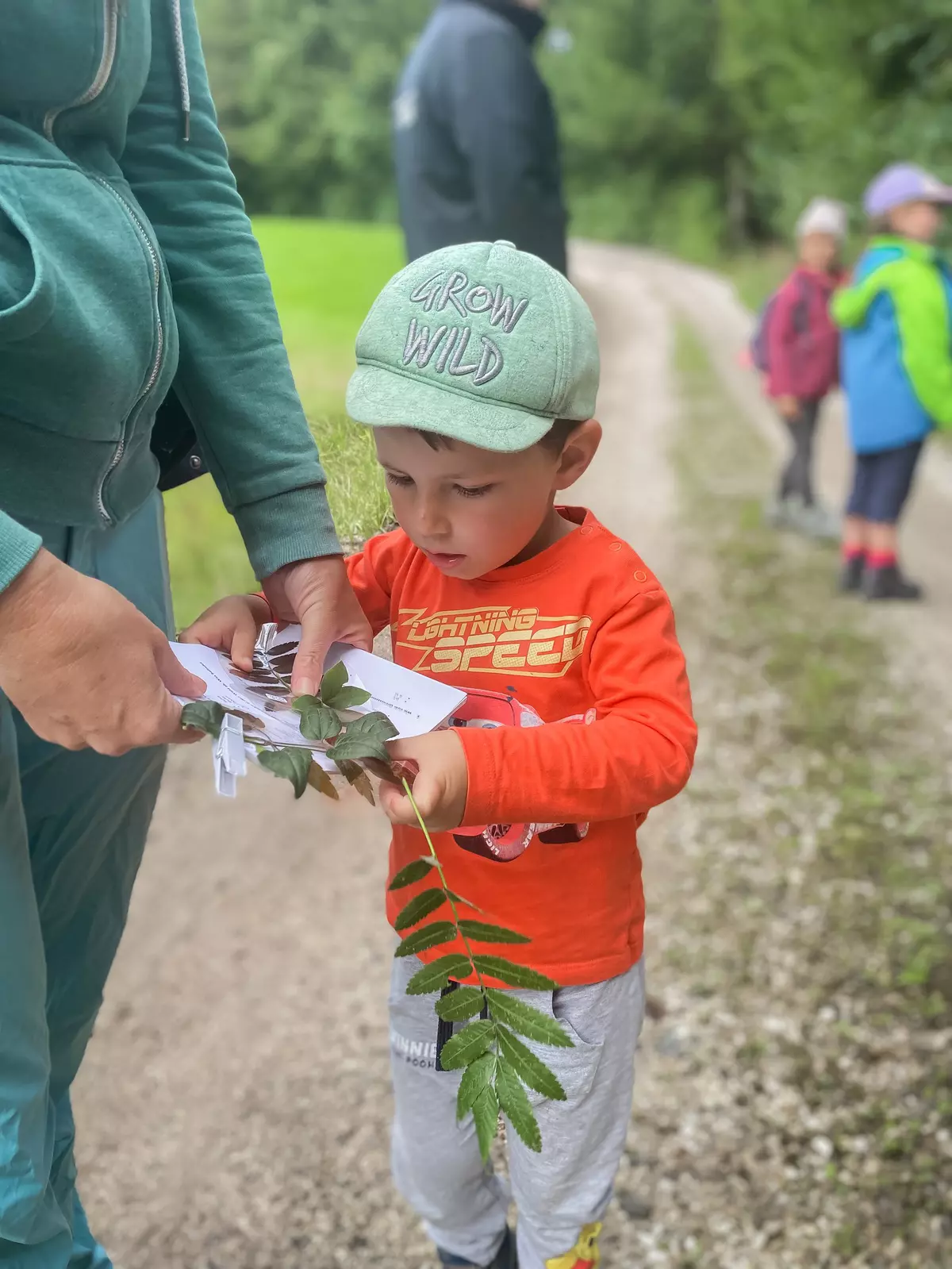 Kind bestimmt mit Erwachsenem zusammen Pflanzen