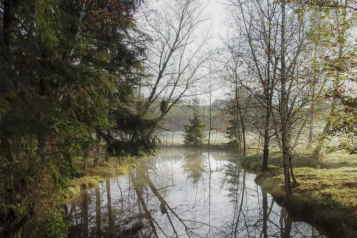Blick auf das herbstliche Moor