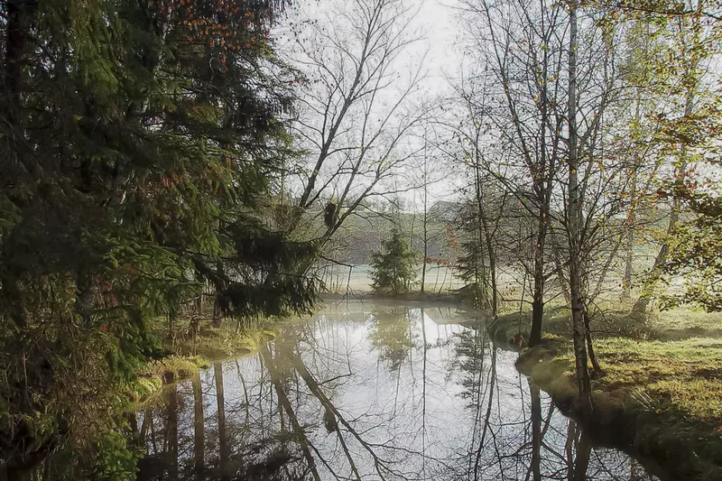 Blick auf das herbstliche Moor