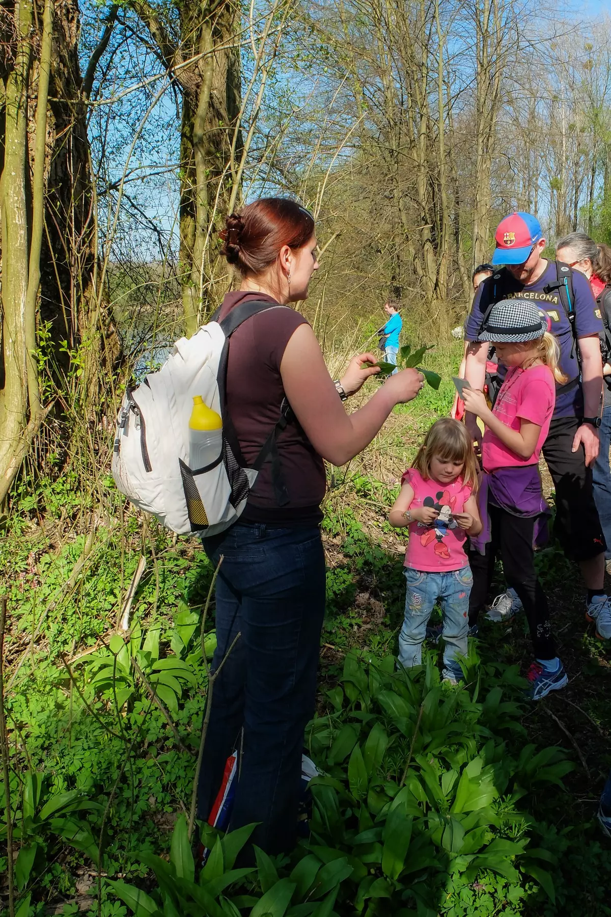 Guide mit Familiengruppe im Bärlauchwald