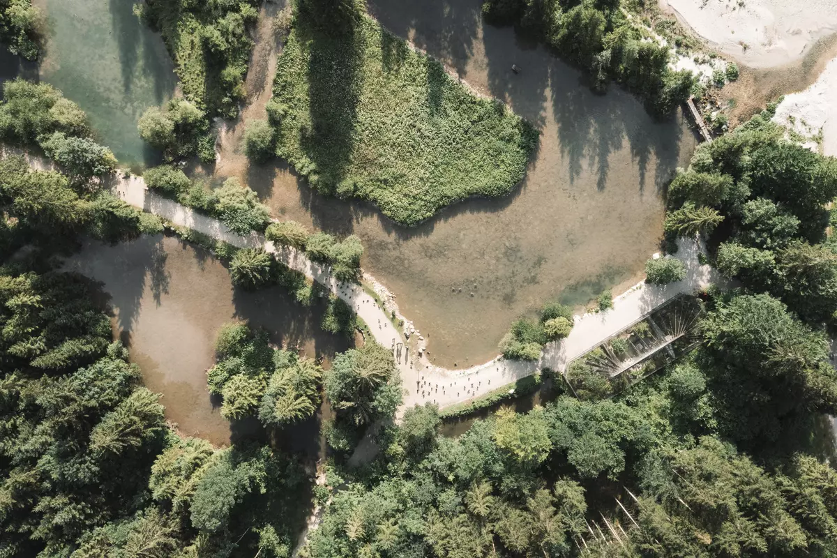 Teichlandschaft in einer Luftaufnahme von oben