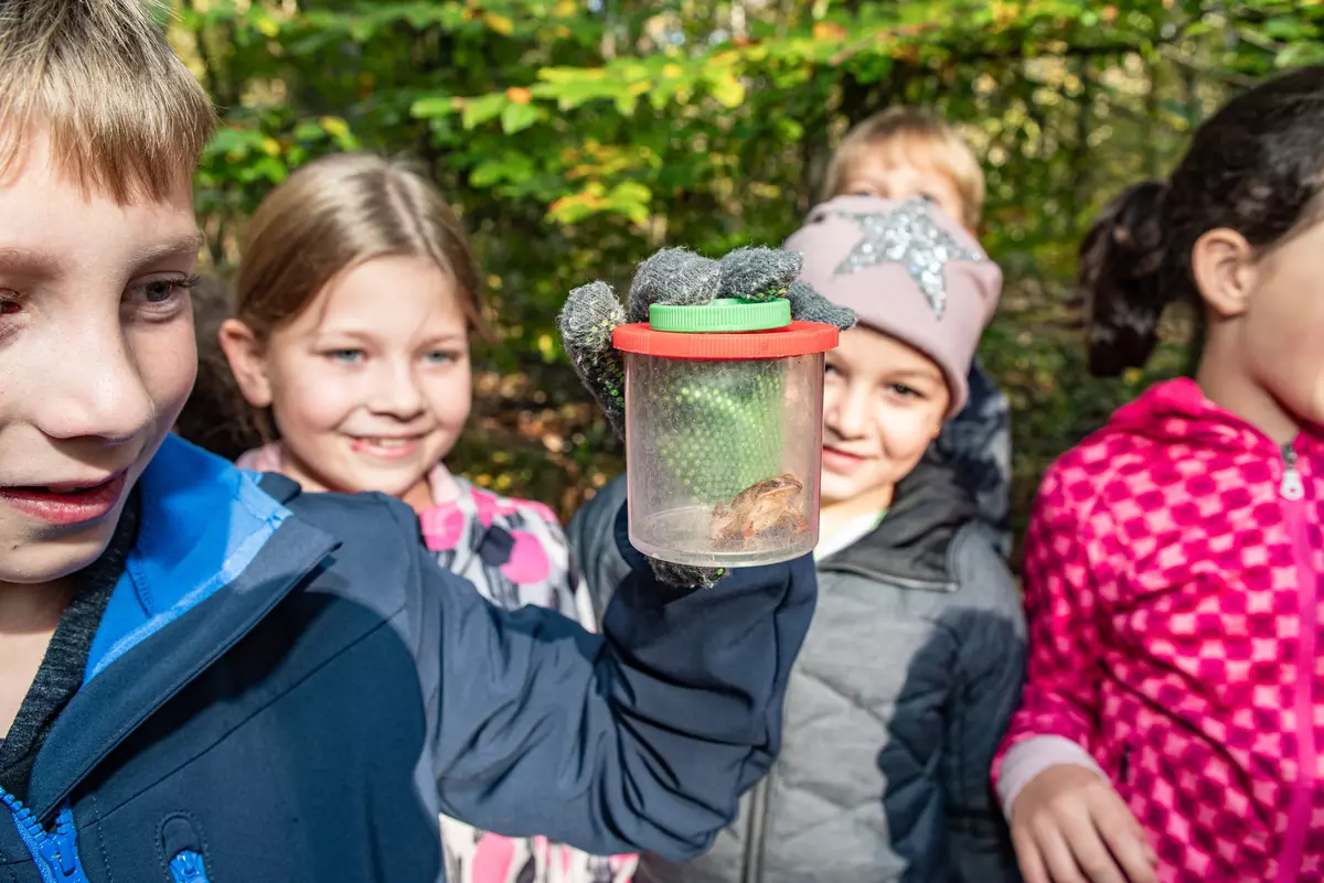 Kindergruppe mit Kröte in Becherlupe