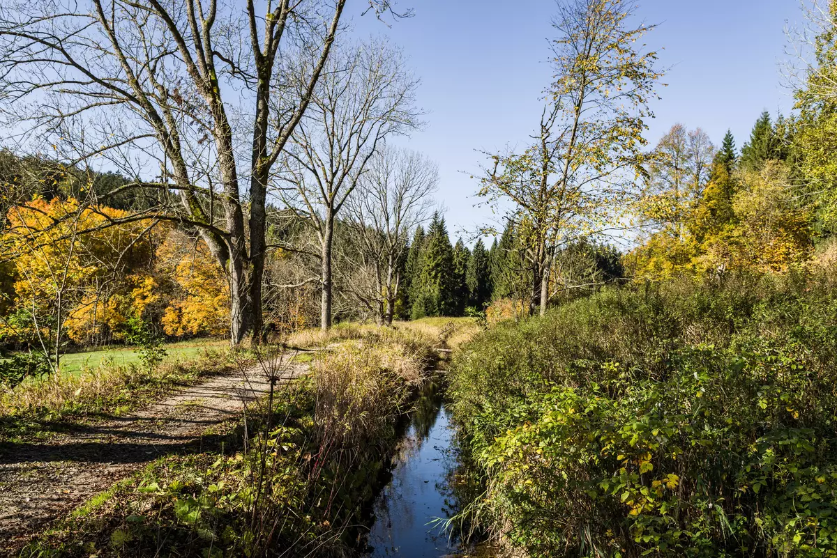 Guide hockend neben Baumstumpf