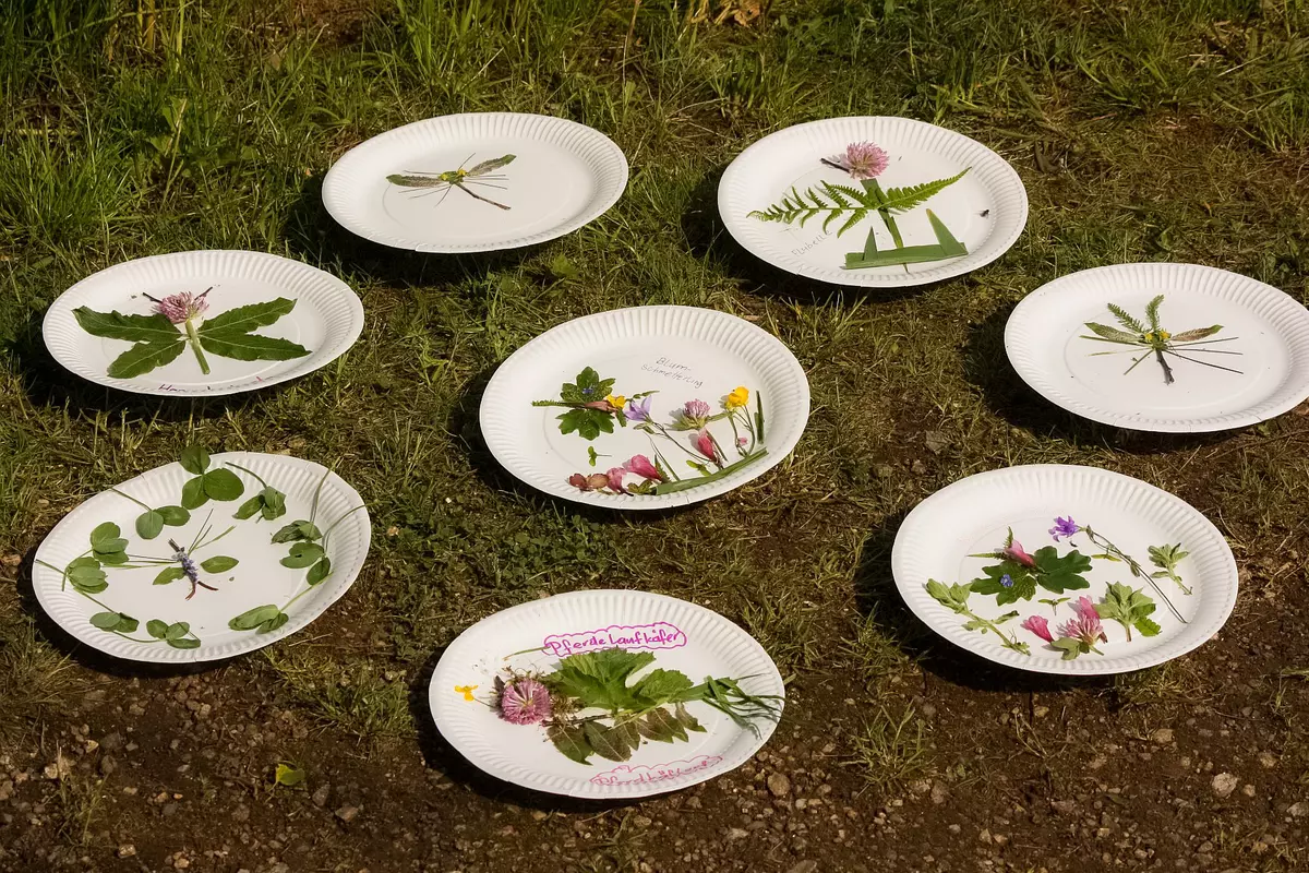 Bildergalerie Naturmaterialien auf weißen Papptellern