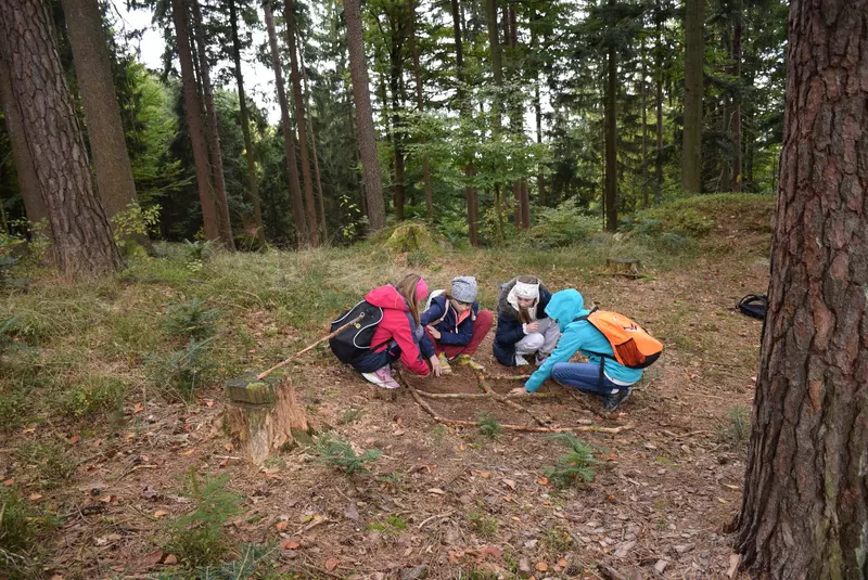 Kindergruppe erforscht den Waldboden