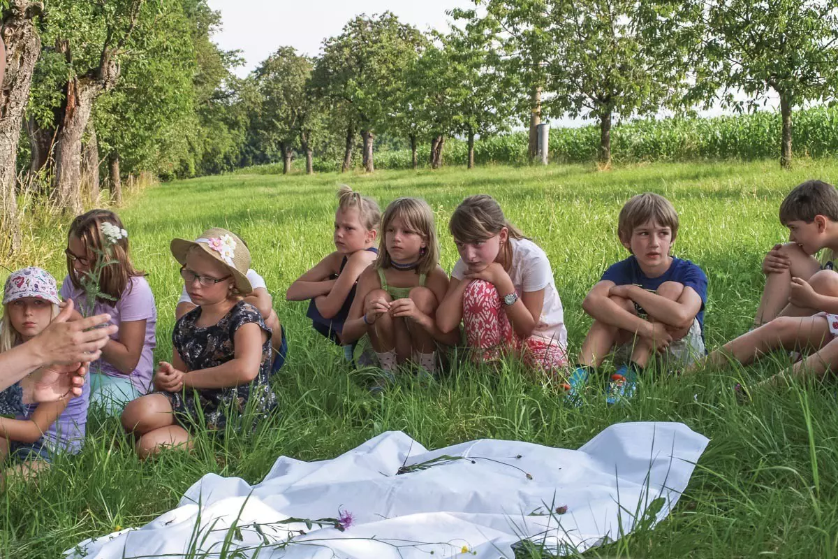 Mehrere Kinder sitzen im hohen Gras