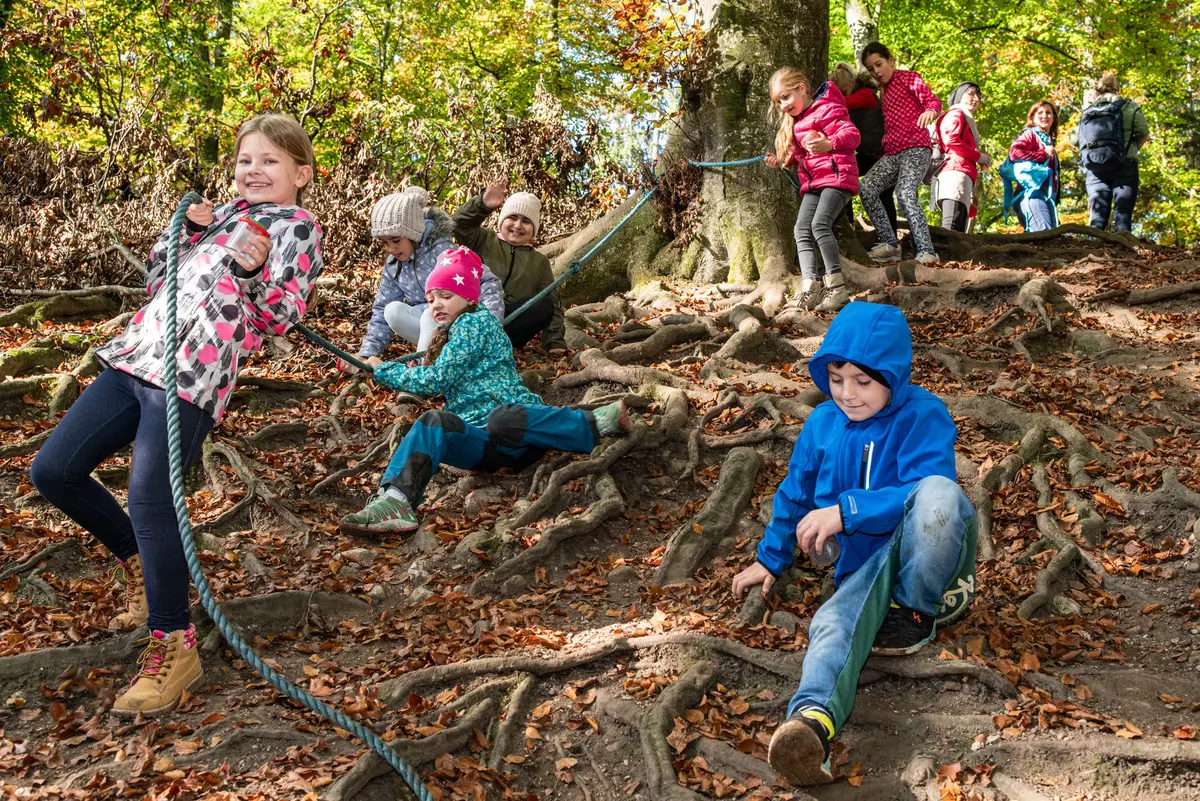 Kinder entlang Seil auf Wurzelgeflecht