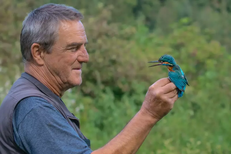 Guide mit Eisvogel
