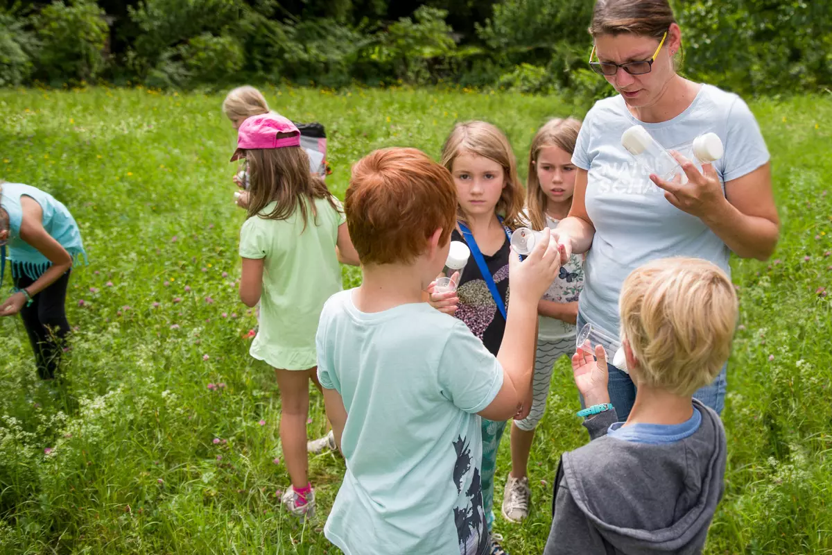 Guide mit Sammelglas und Kinder in einer Blumenwiese