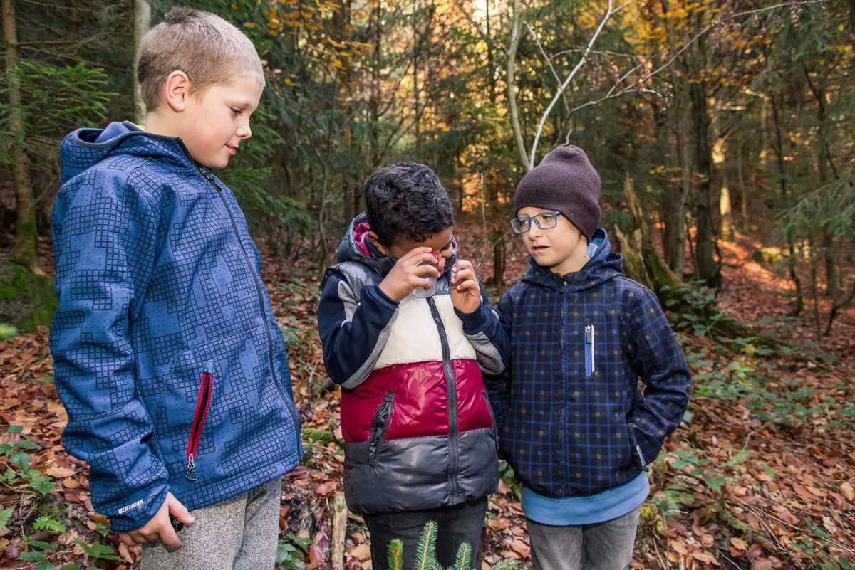 Burschengruppe im Wald mit Becherlupe