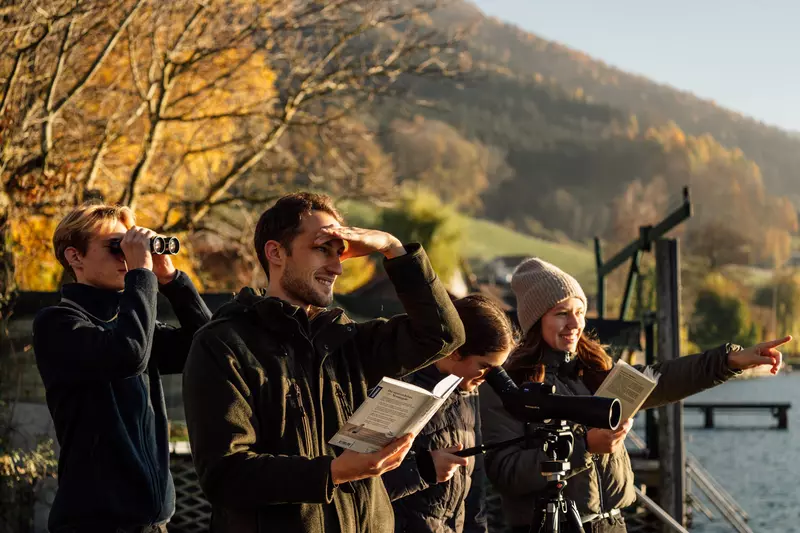 Gruppe beobachtet mit Fernglas und Guide Vögel am Attersee