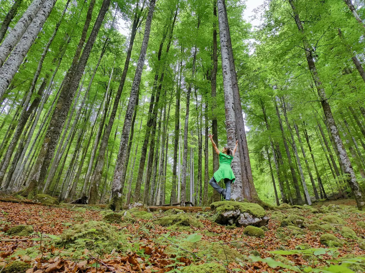 Frau macht Yoga auf einem Stein im Wald