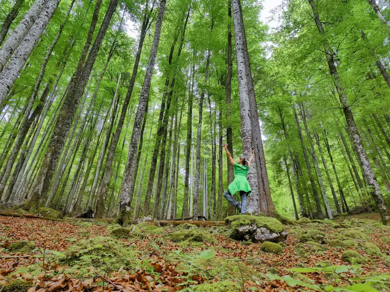Frau macht Yoga auf einem Stein im Wald