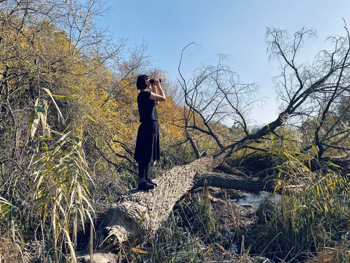 Frau mit Fernglas auf Holzstamm in der Au