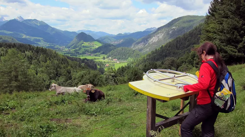 Frau blickt auf Schautafel, im Hintergrund sieht man Berge und Kühe