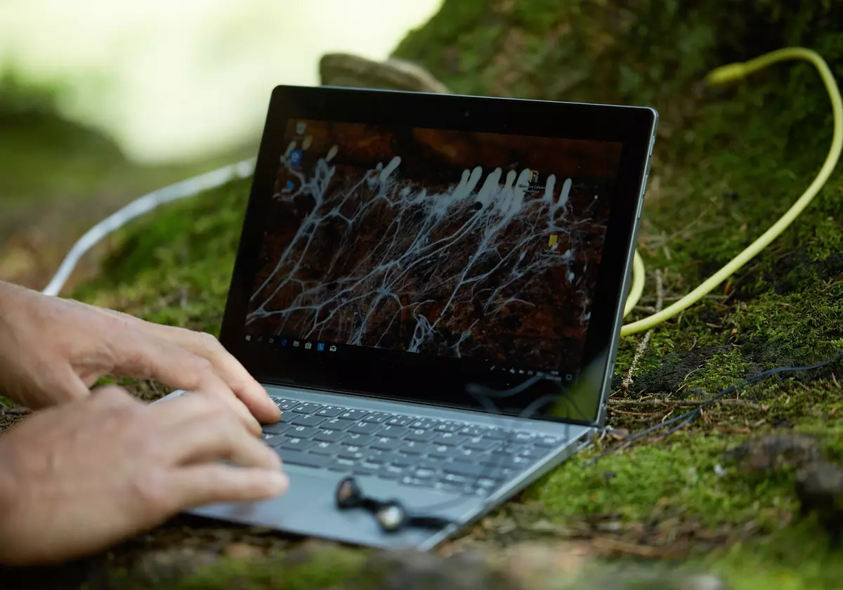Teilnehmender untersucht den Boden rund um einen Baum mit Laptop