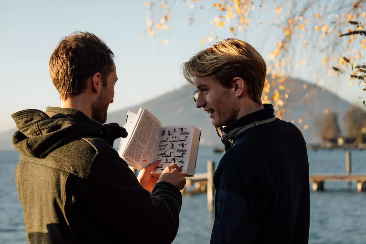 Guide zeigt Vogelart in einem Bestimmungsbuch