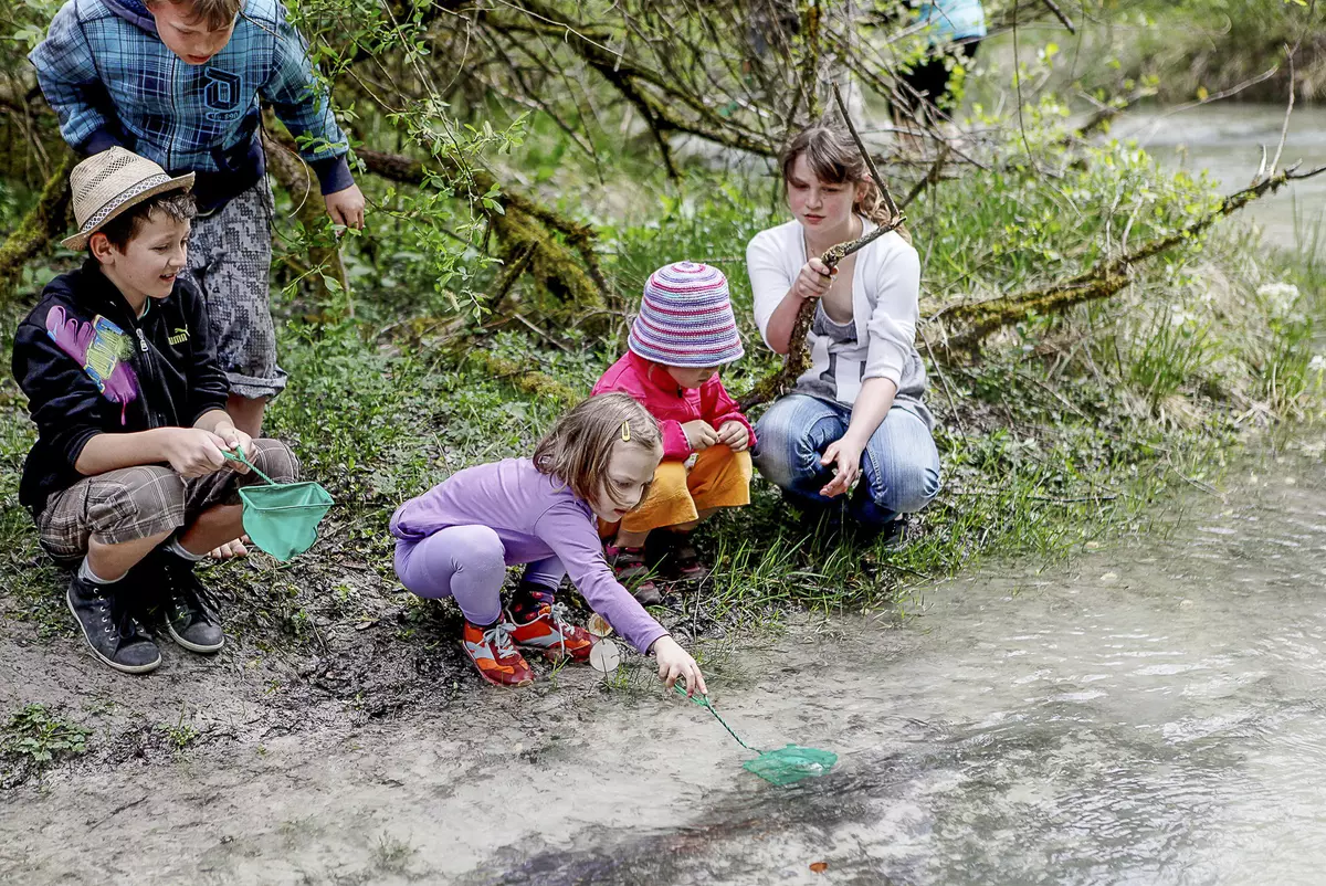 Kinder erforschen mit Kescher den Bach