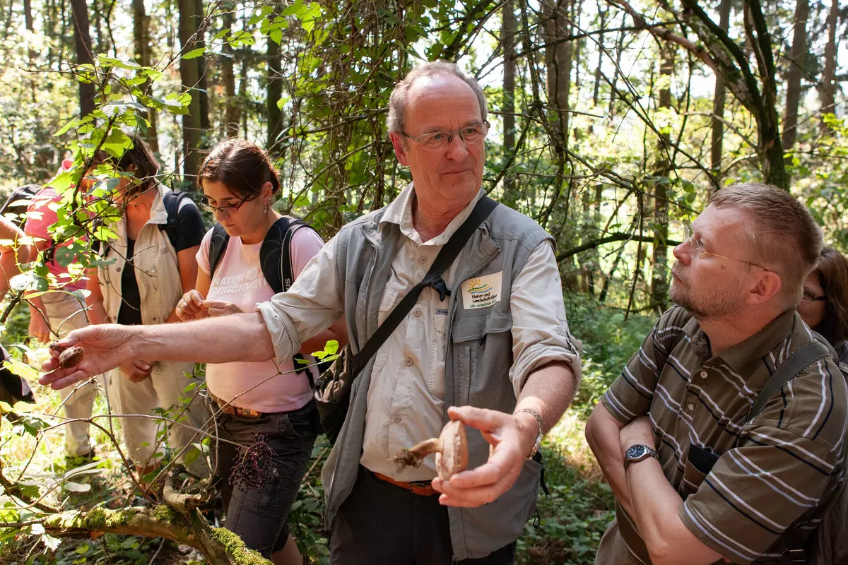 Guide mit Pilzen und Gruppe