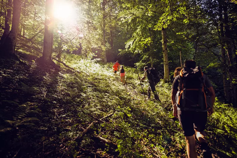 Erwachsene und Kinder wandern durch einen Wald