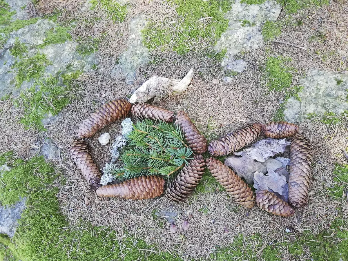 Kunstwerk aus Naturmaterialien