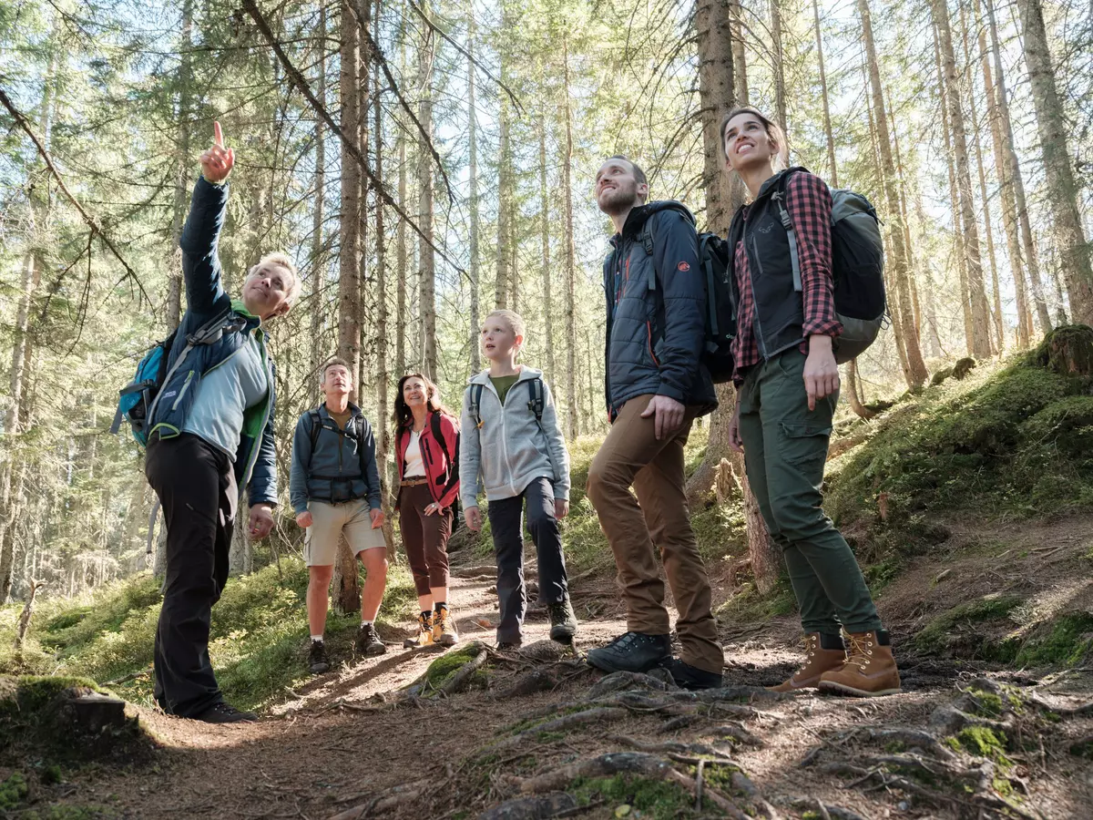 Guide zeigt Teilnehmenden etwas im Wald