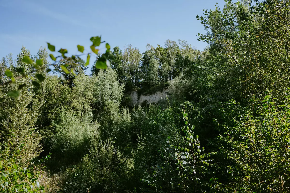 Stark bewaldete Klippenlandschaft