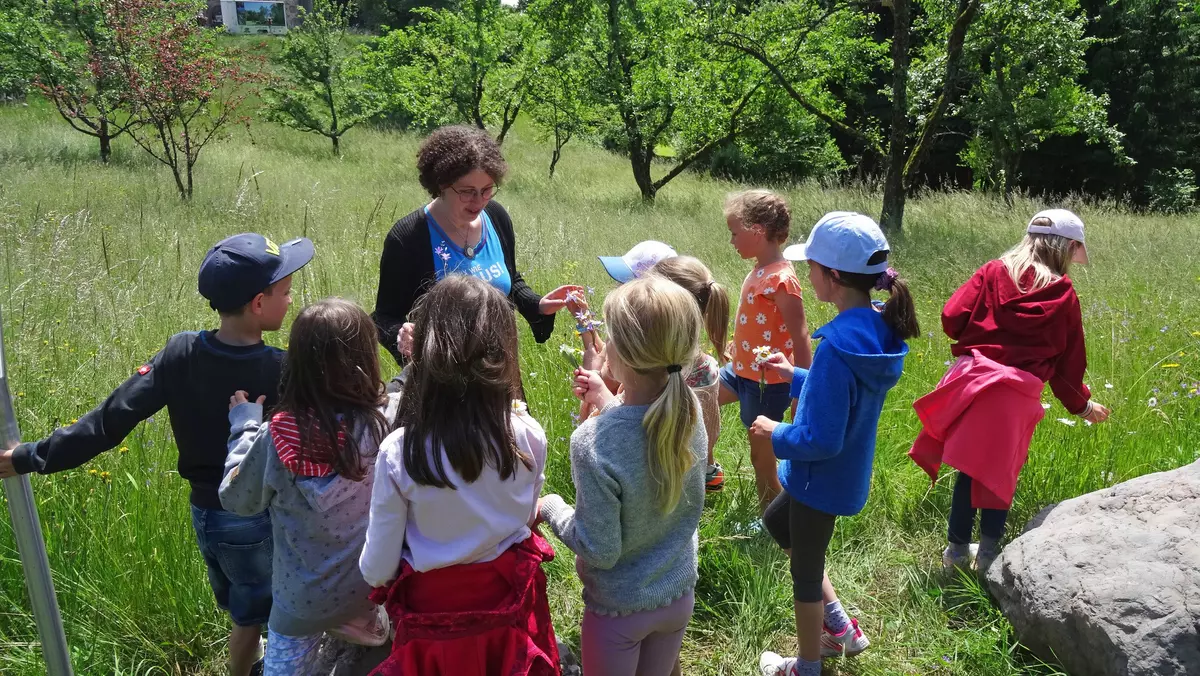 Guide mit Kindergruppe in Wiese