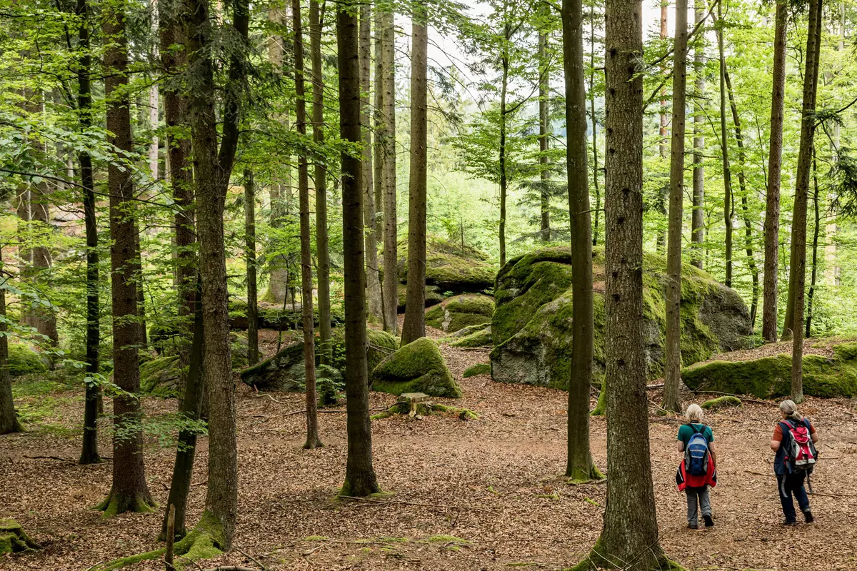 Weibliche Personen im Laubwald mit Findlingen