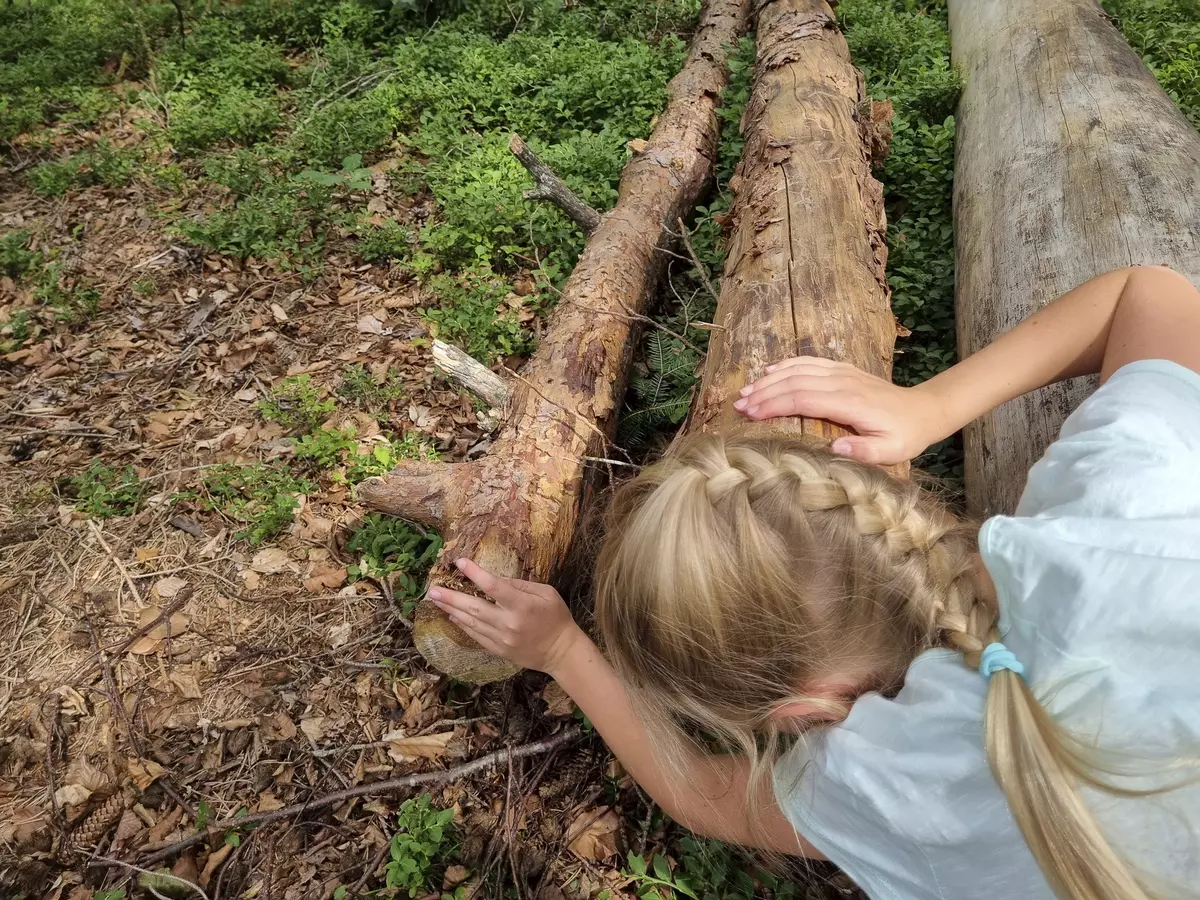 Kind erforscht den Baumstamm und Waldboden