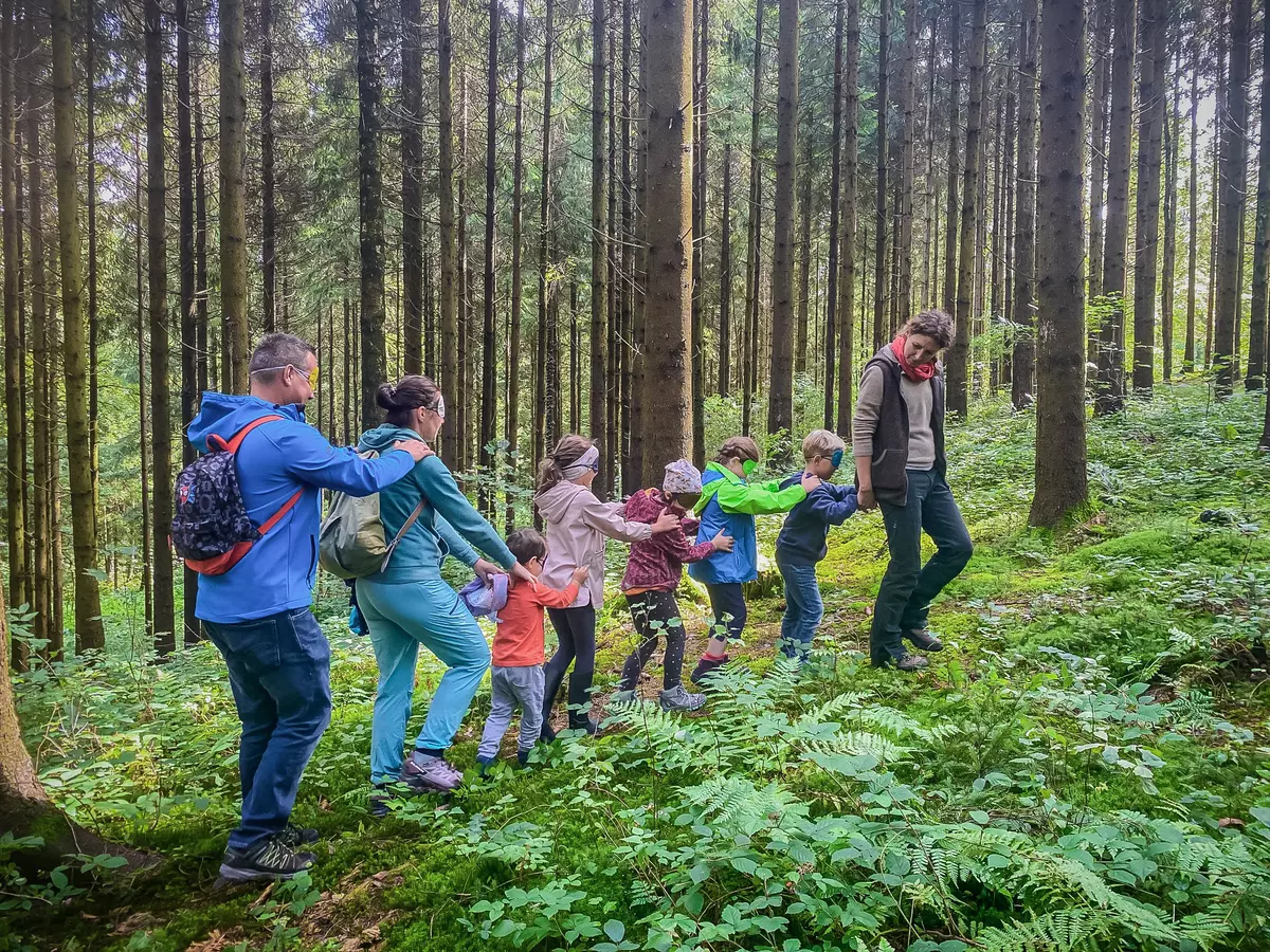 Einige Kinder und zwei Erwachsene mit Augenbinden werden von einem Guide durch einen dichten Wald geführt