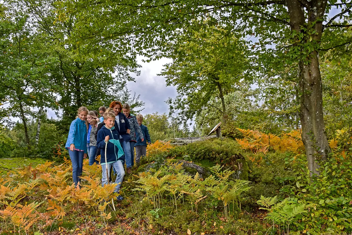 Kindergruppe im herbstlichen Farnwald