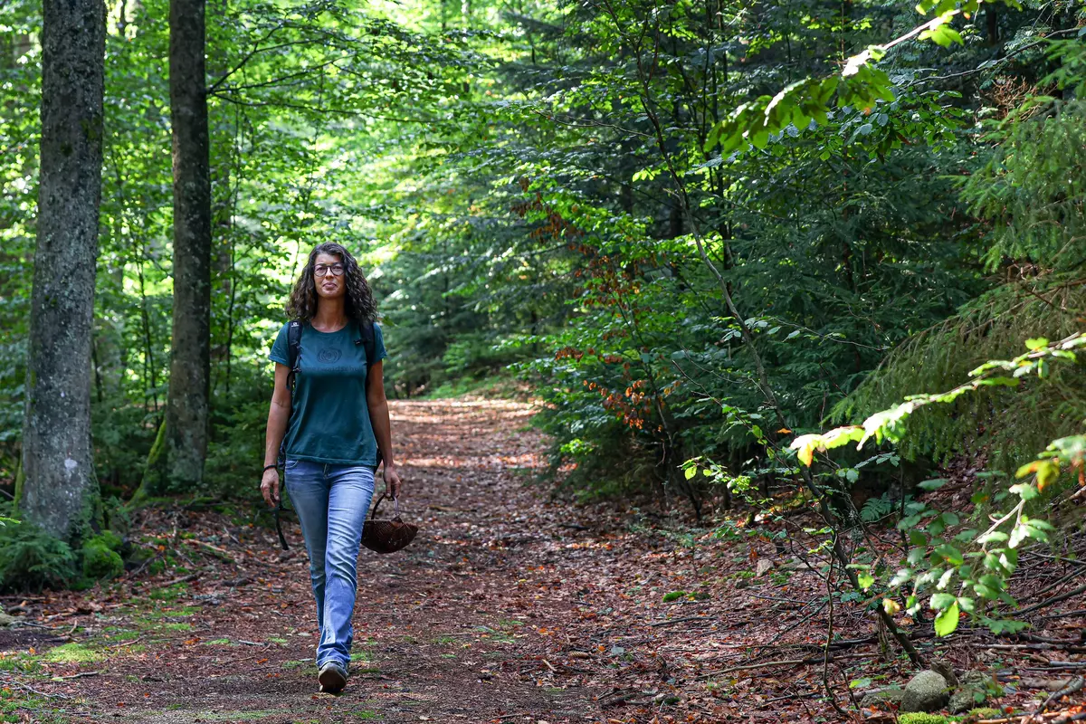 Guide geht im Wald