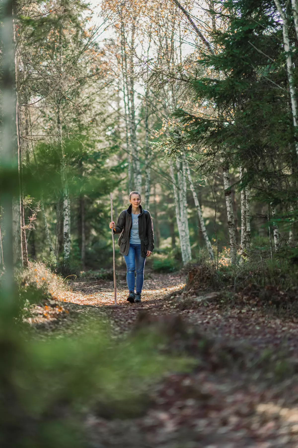 Guide mit Wanderstock auf einem Waldpfad