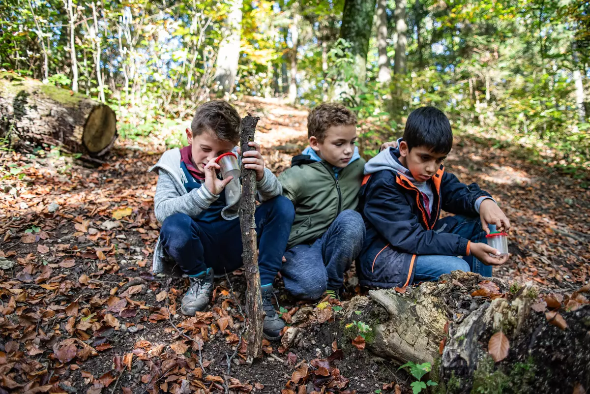 3 Burschen mit Becherlupen im Wald